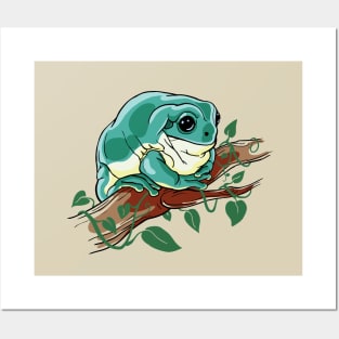 White's Tree Frog pet. Illustration for amphibian lovers Posters and Art